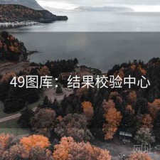 49图库：结果校验中心