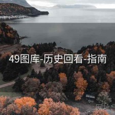 49图库-历史回看-指南